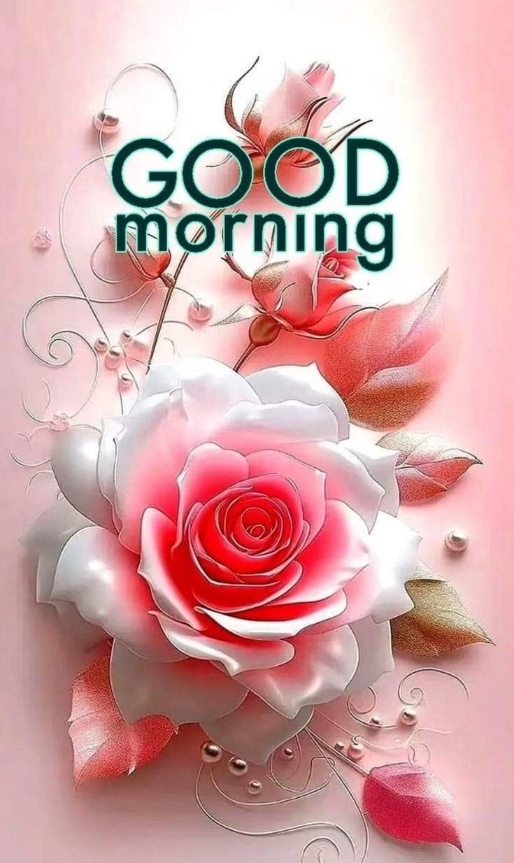 images of good morning saturday blessings images of good morning saturday blessings