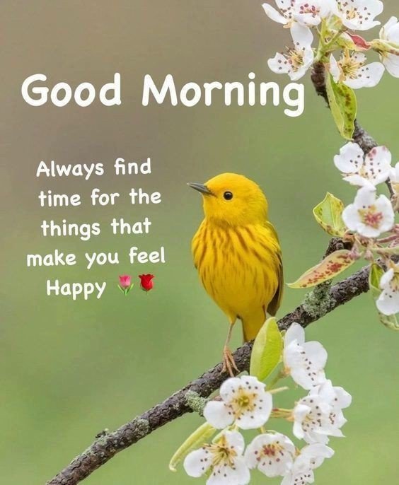 images of good morning saturday with quotes images of good morning saturday with quotes