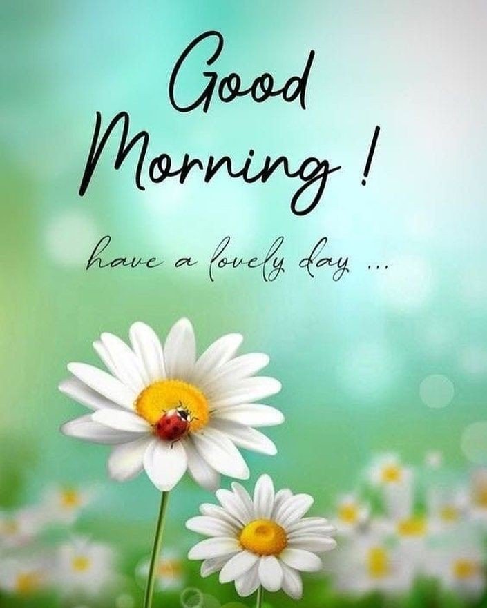 images of good morning saturday with quotes images of good morning saturday with quotes