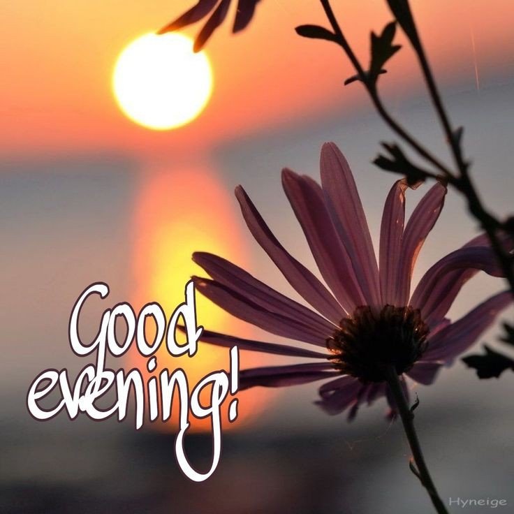 lovely good evening images lovely good evening images