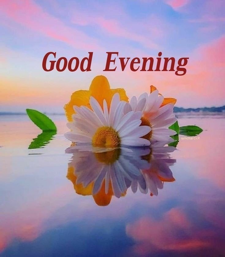lovely good evening images lovely good evening images