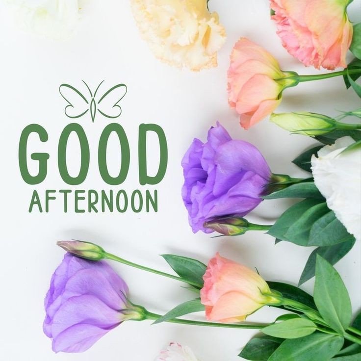 romantic good afternoon photo romantic good afternoon photo