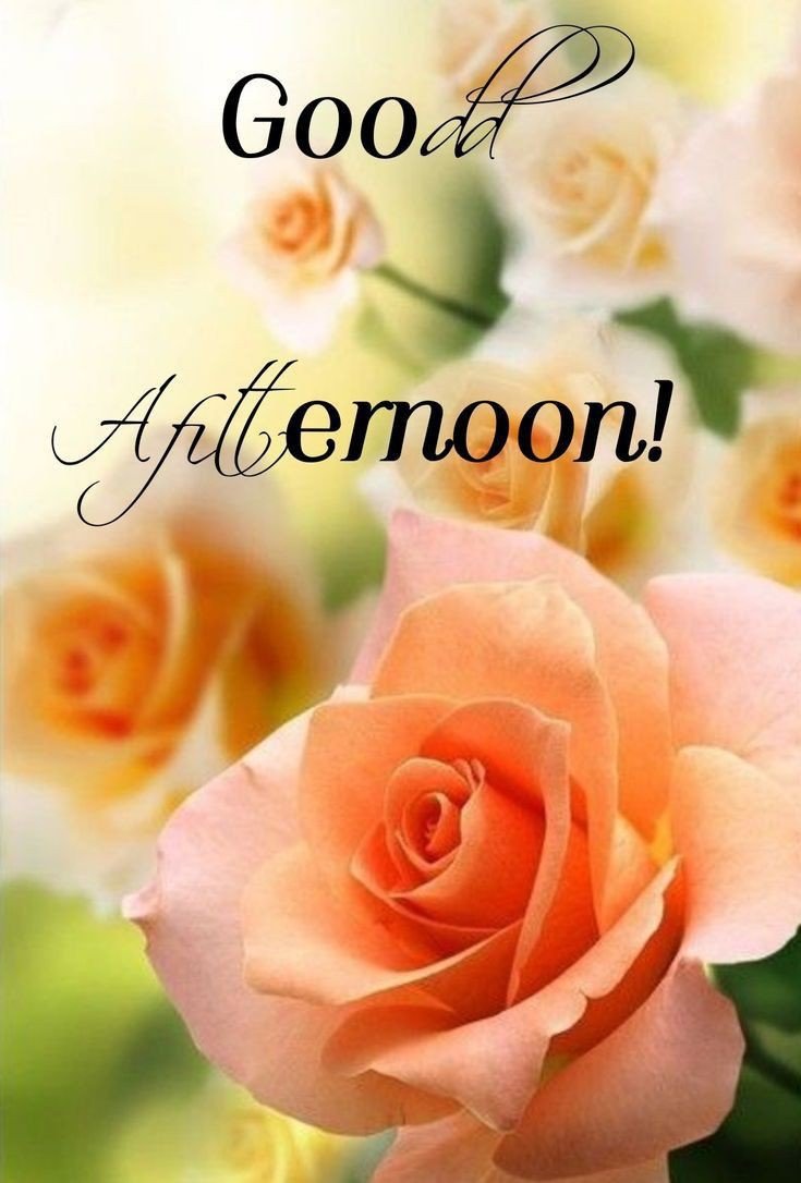 romantic good afternoon pic romantic good afternoon pic