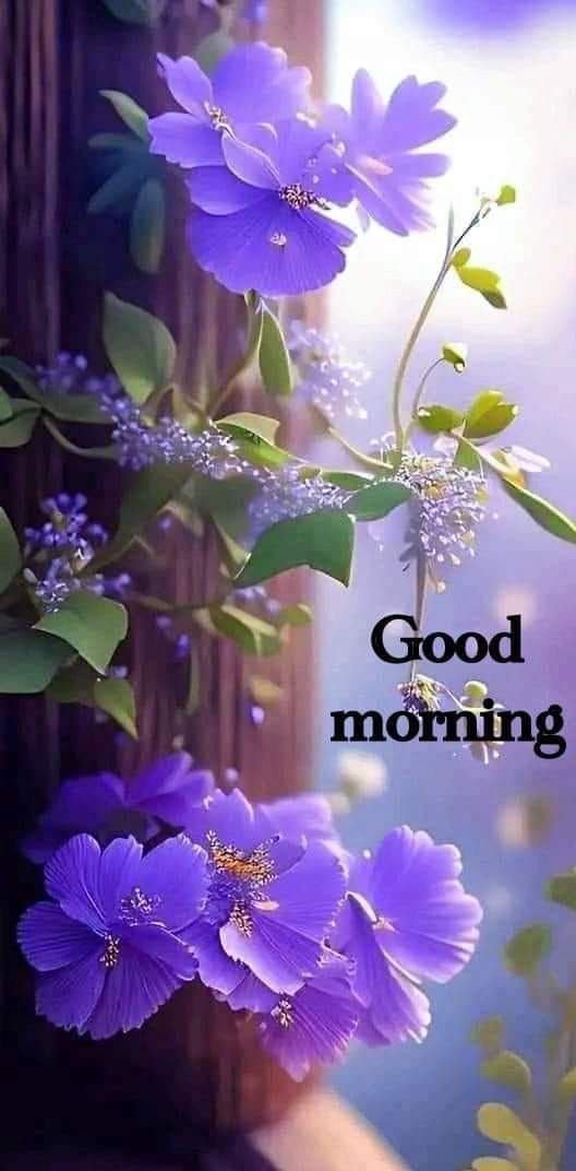 romantic good morning pic romantic good morning pic