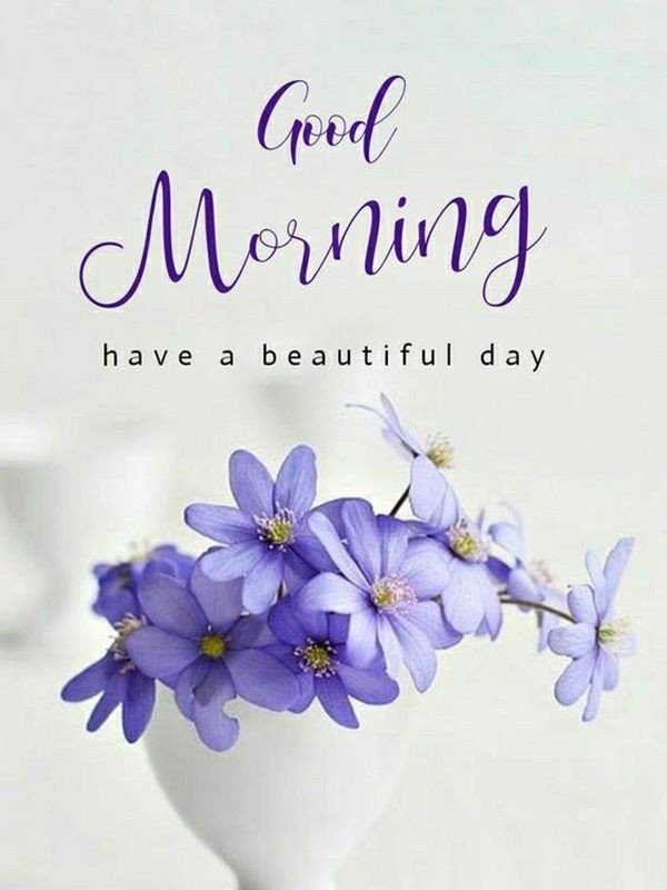 special good morning cute images special good morning cute images
