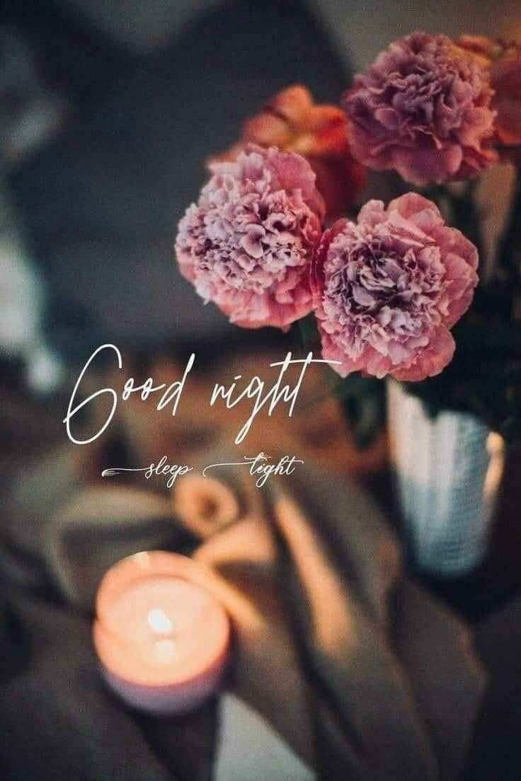 special good night images for whatsapp special good night images for whatsapp