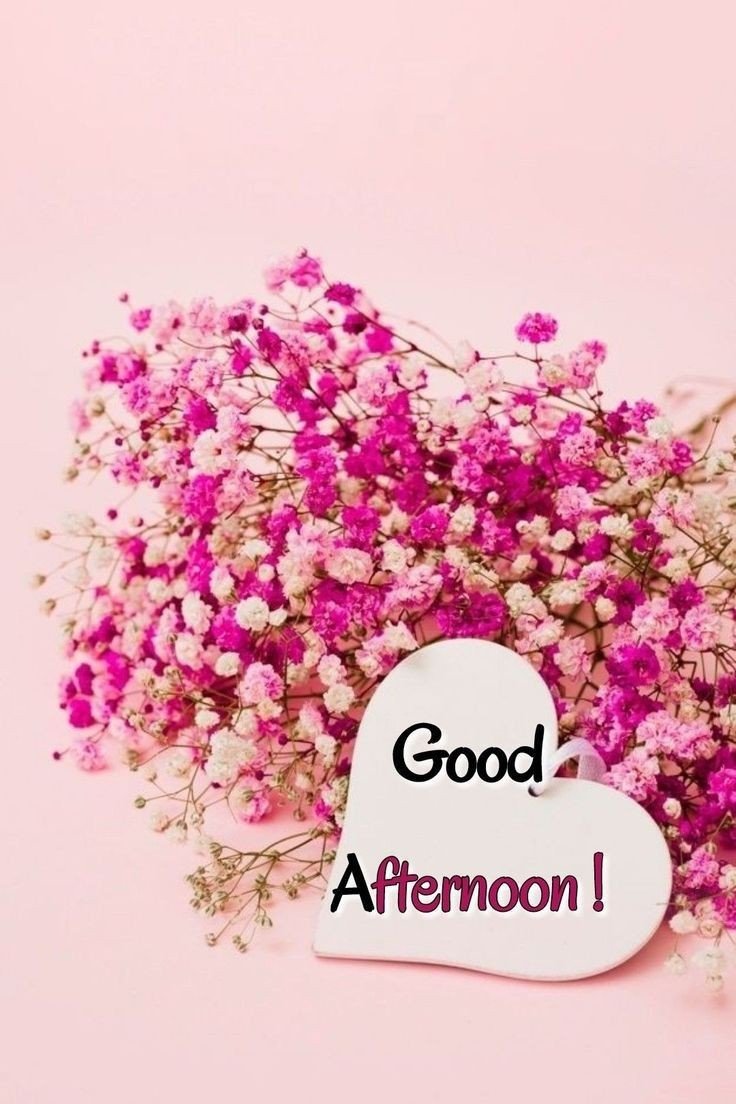 sunday good afternoon images sunday good afternoon images
