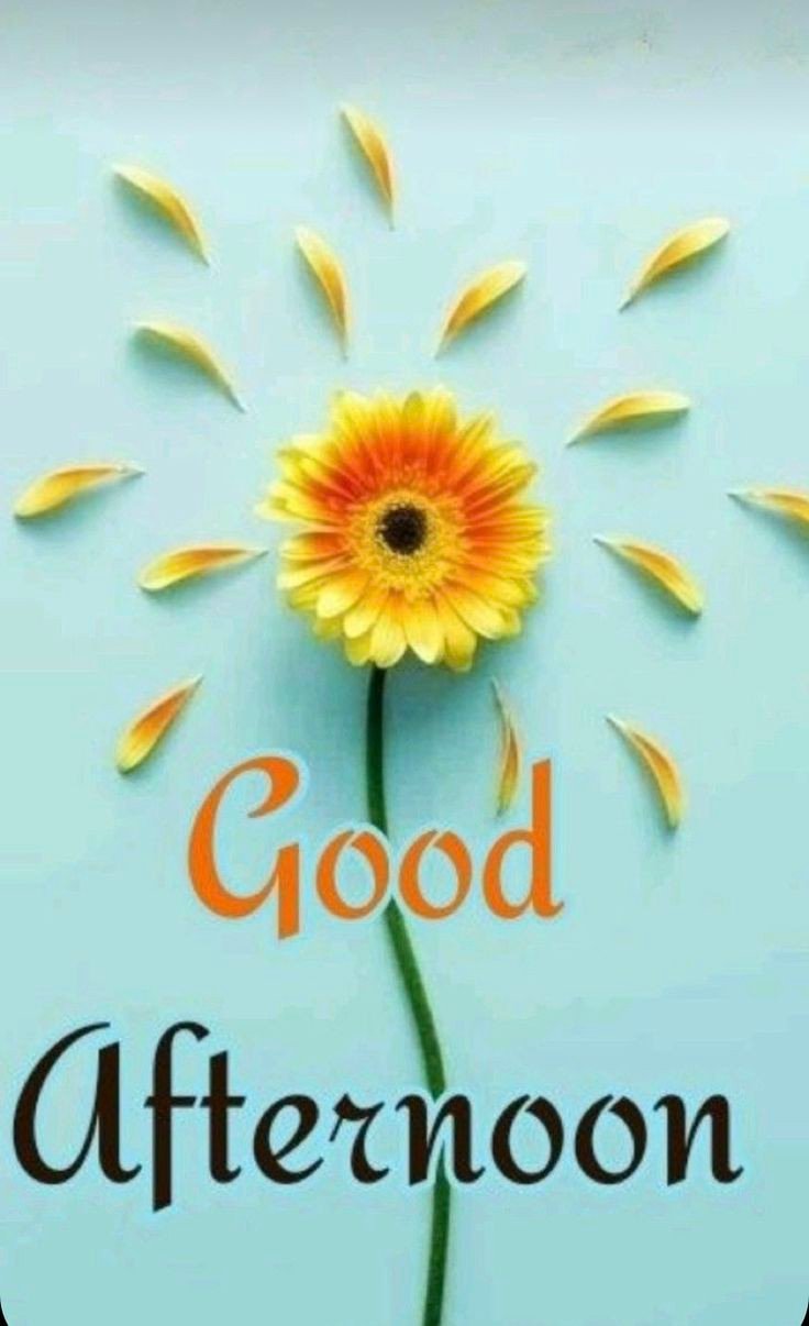 sunday good afternoon images sunday good afternoon images