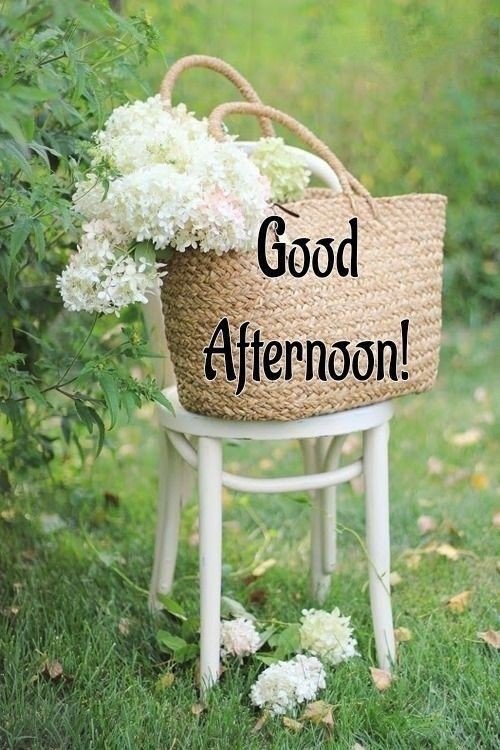 thursday good afternoon images thursday good afternoon images