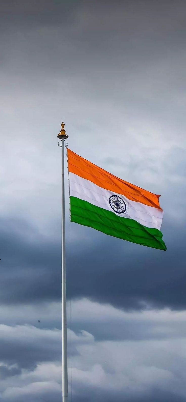tiranga dp a name