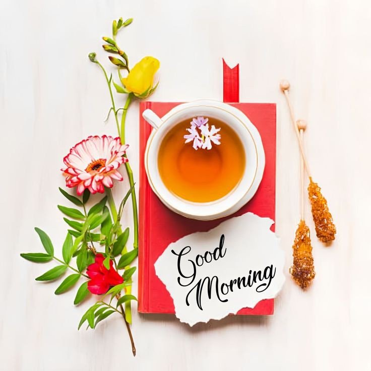 today special good morning images cute today special good morning images cute