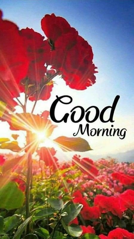 today special good morning images download for whatsapp today special good morning images download for whatsapp