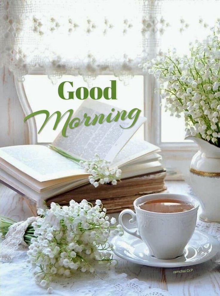 today special good morning images in chinese today special good morning images in chinese