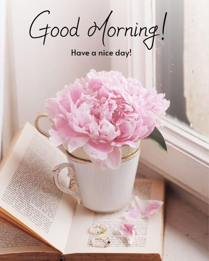 today special good morning images quotes and images today special good morning images quotes and images