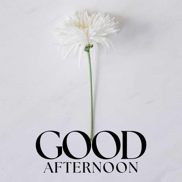tuesday good afternoon images tuesday good afternoon images